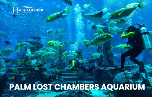 Lost Chambers Aquarium