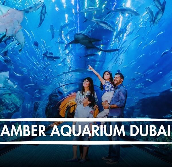 Chamber Aquarium Dubai tickets