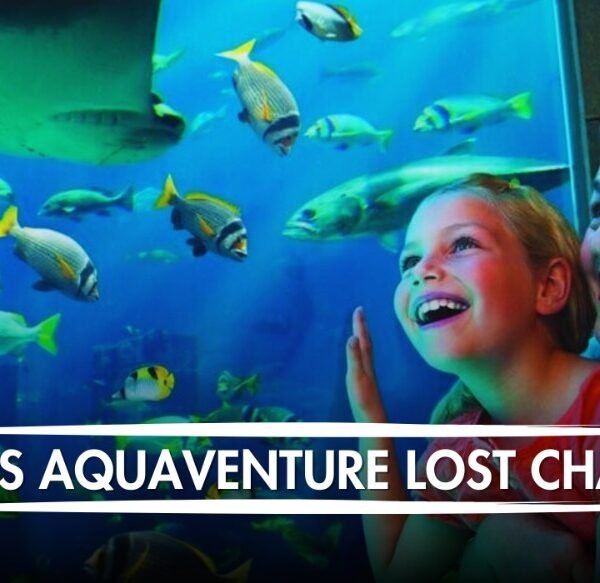 Atlantis lost Chamber Aquaventure Tickets