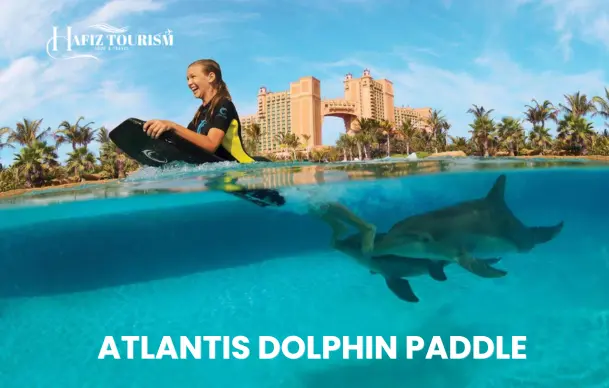 atlantis dolphin